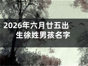 2026年六月廿五出生徐姓男孩名字