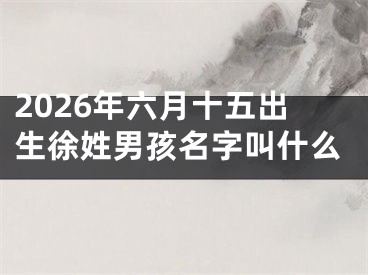 2026年六月十五出生徐姓男孩名字叫什么