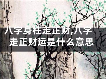 八字身柱走正财,八字走正财运是什么意思