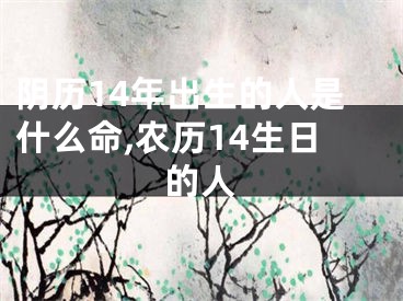 阴历14年出生的人是什么命,农历14生日的人