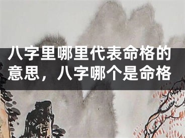 八字里哪里代表命格的意思,八字哪个是命格
