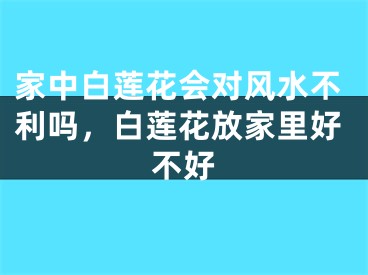 家中白莲花会对风水不利吗，白莲花放家里好不好