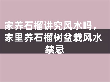 家养石榴讲究风水吗，家里养石榴树盆栽风水禁忌