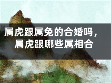 属虎跟属兔的合婚吗，属虎跟哪些属相合