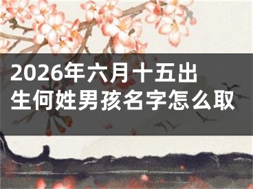 2026年六月十五出生何姓男孩名字怎么取