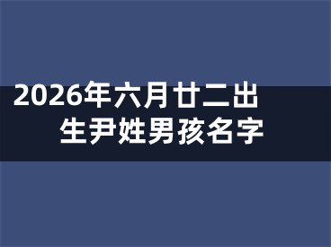 2026年六月廿二出生尹姓男孩名字