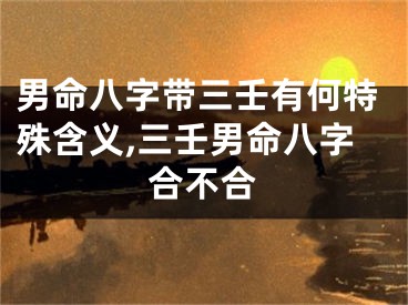 男命八字带三壬有何特殊含义,三壬男命八字合不合