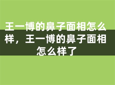 王一博的鼻子面相怎么样，王一博的鼻子面相怎么样了