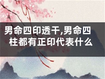 男命四印透干,男命四柱都有正印代表什么