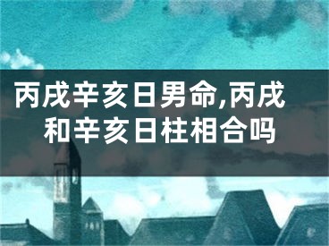 丙戌辛亥日男命,丙戌和辛亥日柱相合吗