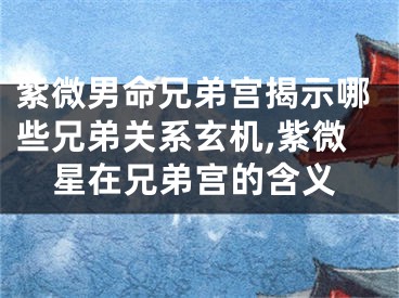 紫微男命兄弟宫揭示哪些兄弟关系玄机,紫微星在兄弟宫的含义