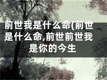 前世我是什么命(前世是什么命,前世前世我是你的今生