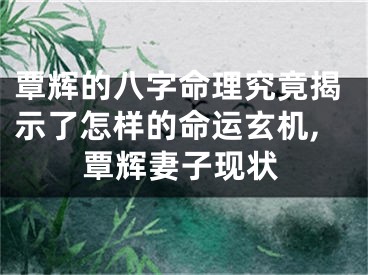 覃辉的八字命理究竟揭示了怎样的命运玄机,覃辉妻子现状