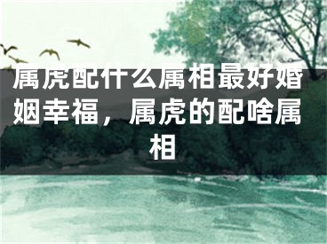 属虎配什么属相最好婚姻幸福，属虎的配啥属相