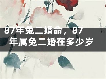 87年兔二婚命，87年属兔二婚在多少岁