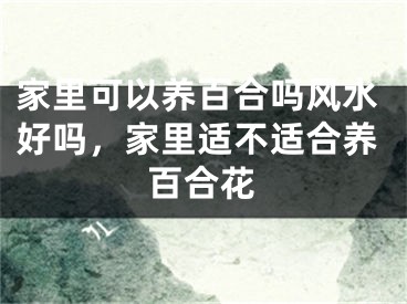 家里可以养百合吗风水好吗,家里适不适合养百合花