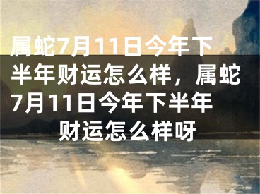 属蛇7月11日今年下半年财运怎么样，属蛇7月11日今年下半年财运怎么样呀