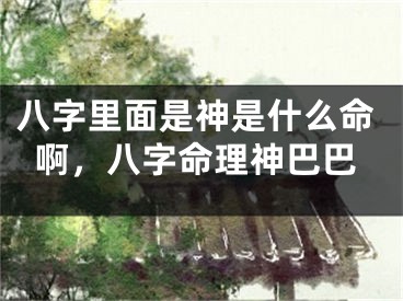 八字里面是神是什么命啊，八字命理神巴巴