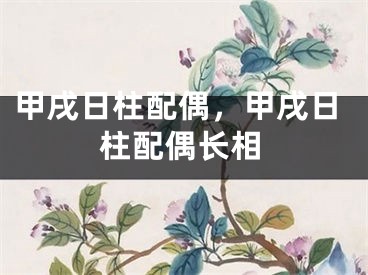甲戌日柱配偶，甲戌日柱配偶长相