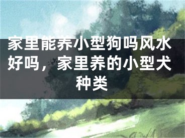 家里能养小型狗吗风水好吗，家里养的小型犬种类