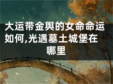 大运带金舆的女命命运如何,光遇墓土城堡在哪里