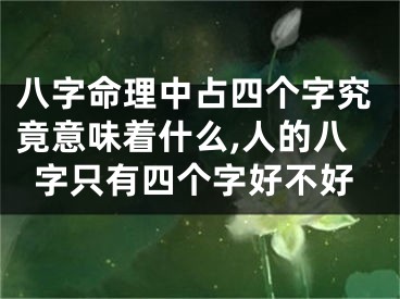 八字命理中占四个字究竟意味着什么,人的八字只有四个字好不好