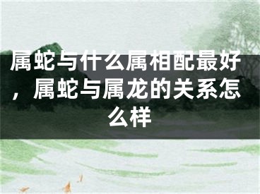 属蛇与什么属相配最好，属蛇与属龙的关系怎么样