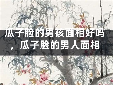 瓜子脸的男孩面相好吗，瓜子脸的男人面相