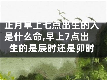 正月早上七点出生的人是什么命,早上7点出生的是辰时还是卯时