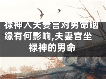 禄神入夫妻宫对男命姻缘有何影响,夫妻宫坐禄神的男命