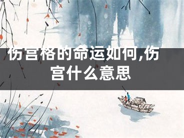 伤宫格的命运如何,伤宫什么意思