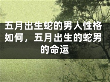 五月出生蛇的男人性格如何，五月出生的蛇男的命运