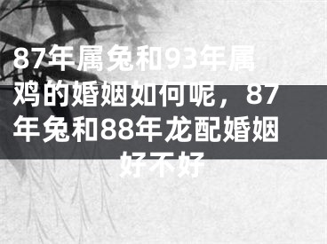 87年属兔和93年属鸡的婚姻如何呢，87年兔和88年龙配婚姻好不好