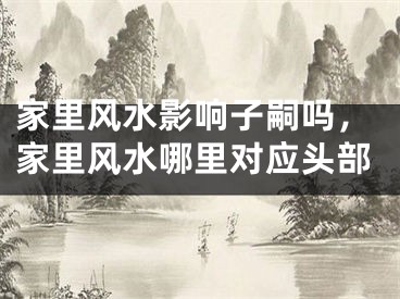 家里风水影响子嗣吗，家里风水哪里对应头部