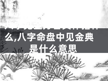 八字见金方合具体指什么,八字命盘中见金典是什么意思