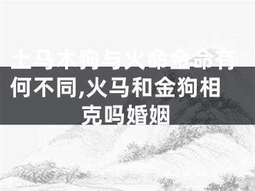 土马木狗与火命金命有何不同,火马和金狗相克吗婚姻
