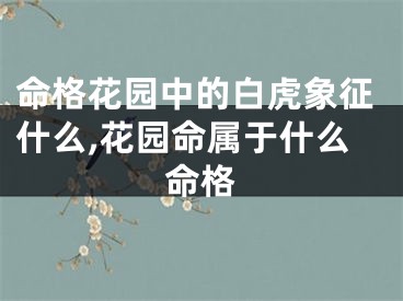 命格花园中的白虎象征什么,花园命属于什么命格