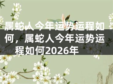 属蛇人今年运势运程如何，属蛇人今年运势运程如何2026年