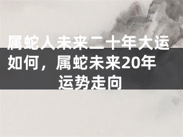 属蛇人未来二十年大运如何，属蛇未来20年运势走向