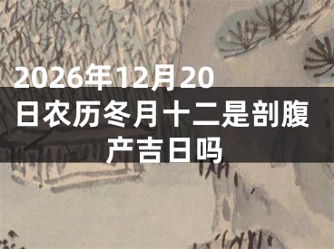 2026年12月20日农历冬月十二是剖腹产吉日吗