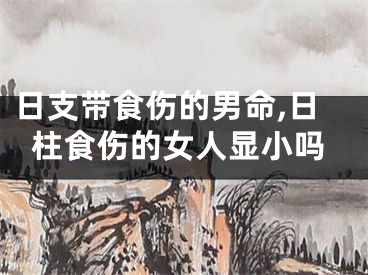 日支带食伤的男命,日柱食伤的女人显小吗