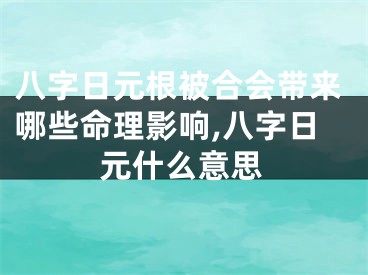 八字日元根被合会带来哪些命理影响,八字日元什么意思