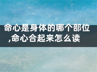 命心是身体的哪个部位,命心合起来怎么读