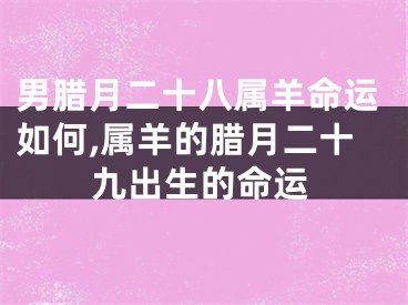 男腊月二十八属羊命运如何,属羊的腊月二十九出生的命运