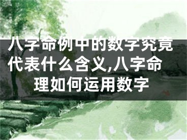 八字命例中的数字究竟代表什么含义,八字命理如何运用数字