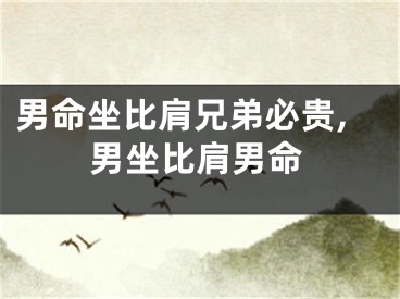 男命坐比肩兄弟必贵,男坐比肩男命