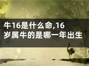牛16是什么命,16岁属牛的是哪一年出生