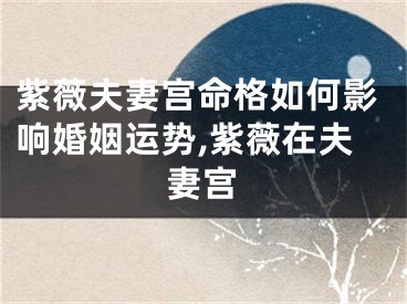 紫薇夫妻宫命格如何影响婚姻运势,紫薇在夫妻宫