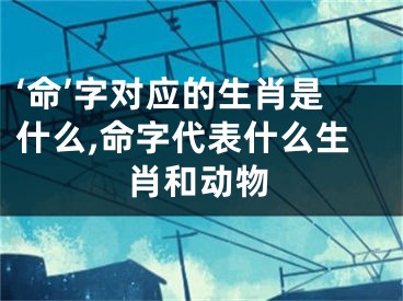 ‘命’字对应的生肖是什么,命字代表什么生肖和动物