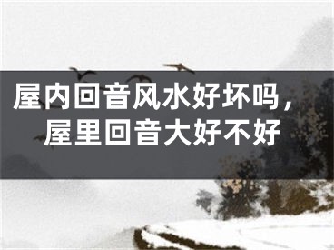 屋内回音风水好坏吗，屋里回音大好不好